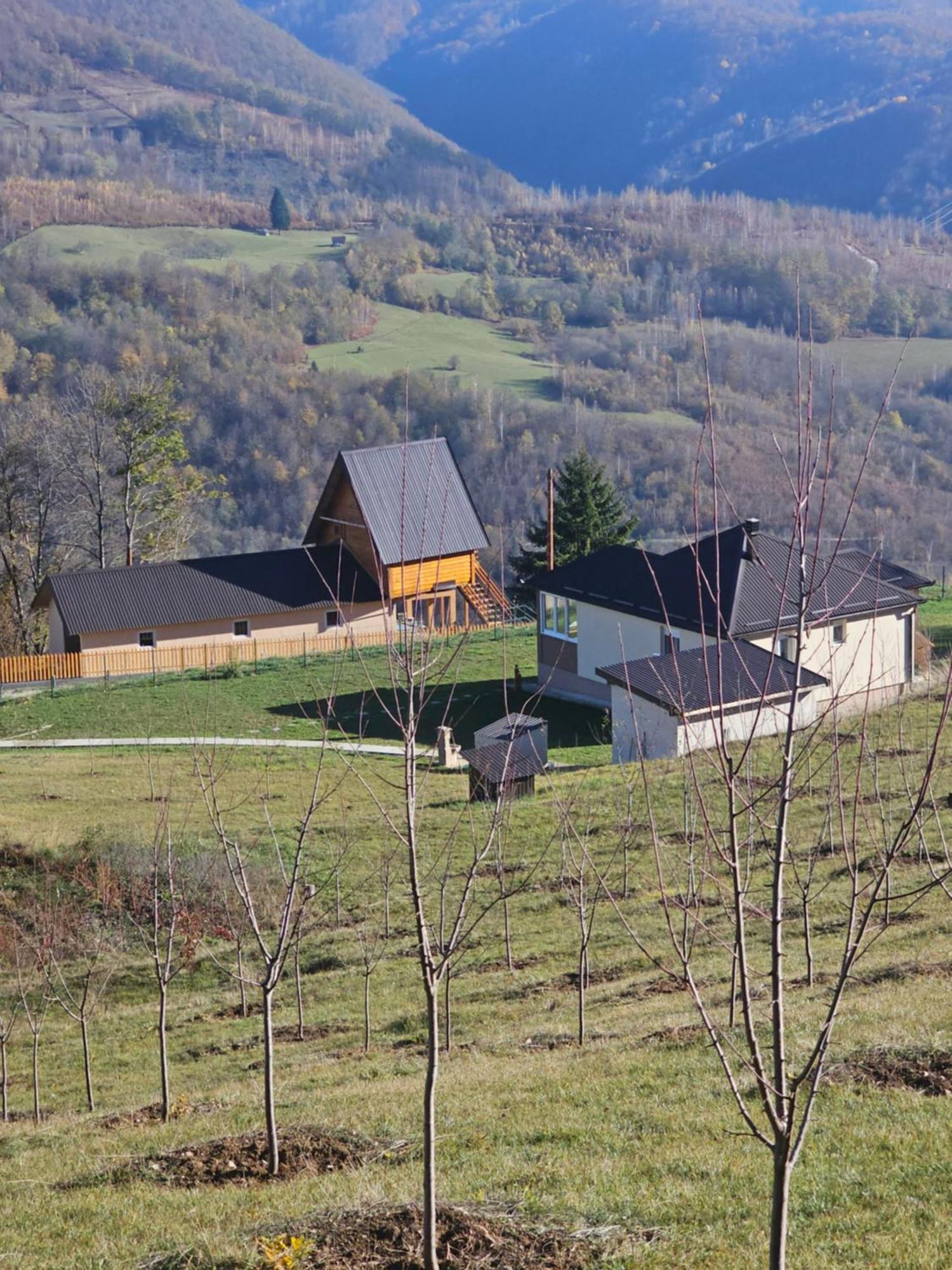 Holiday home Mountain House Boskovic Bijelo Polje