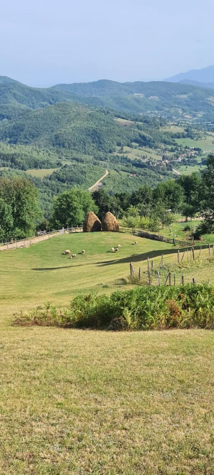 Holiday home Mountain House Boskovic *