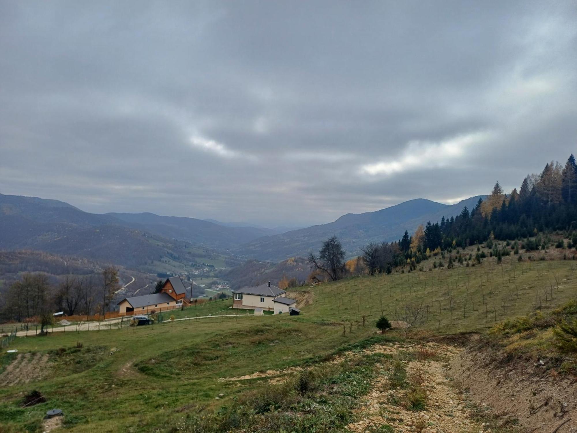 Mountain House Boskovic Holiday home *