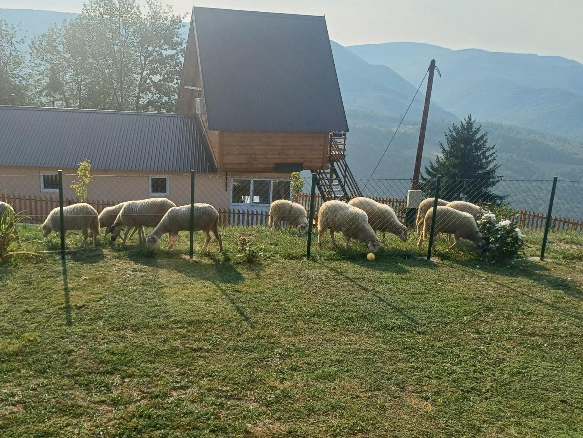 Holiday home Mountain House Boskovic *