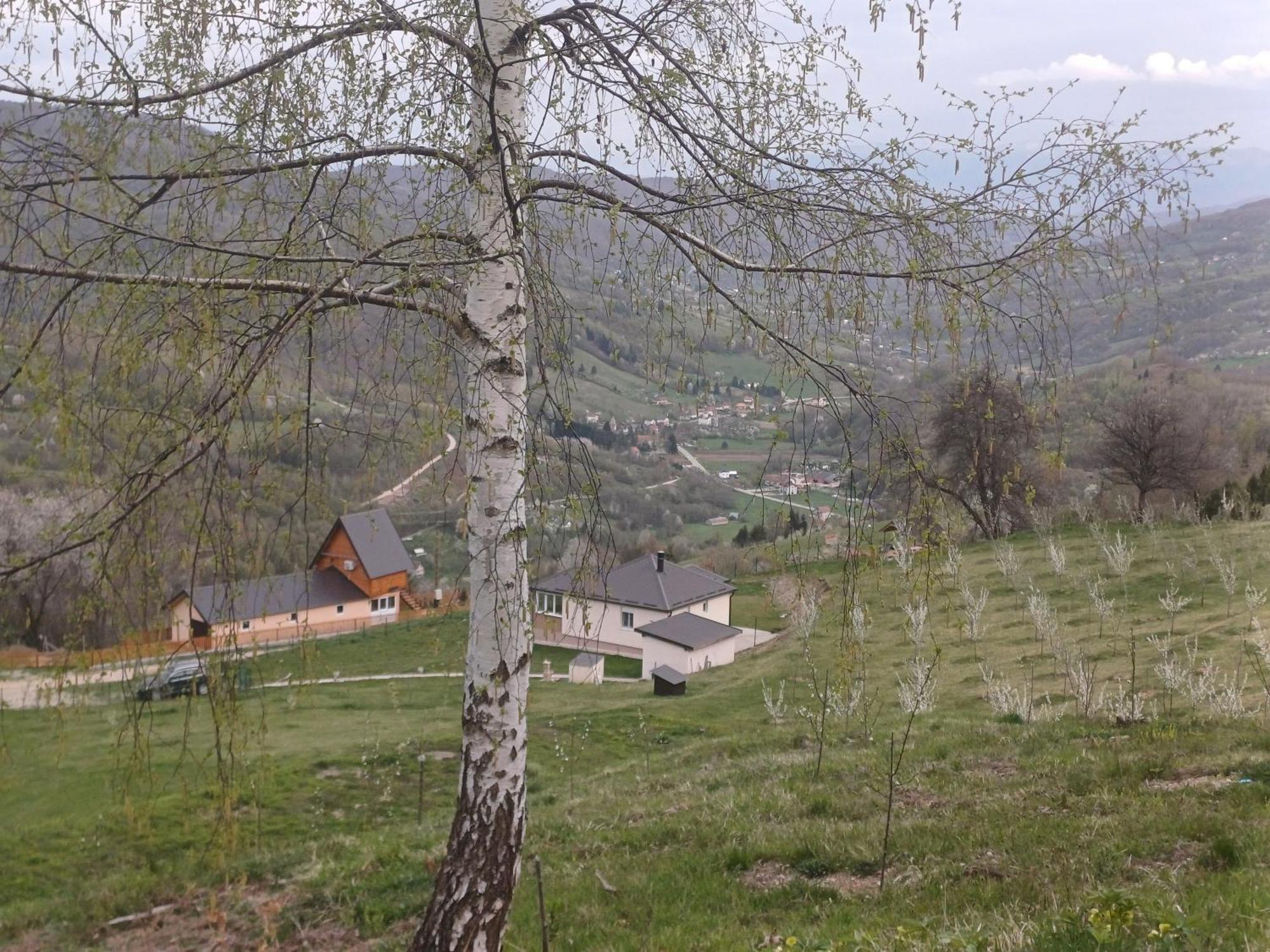 Mountain House Boskovic Holiday home
