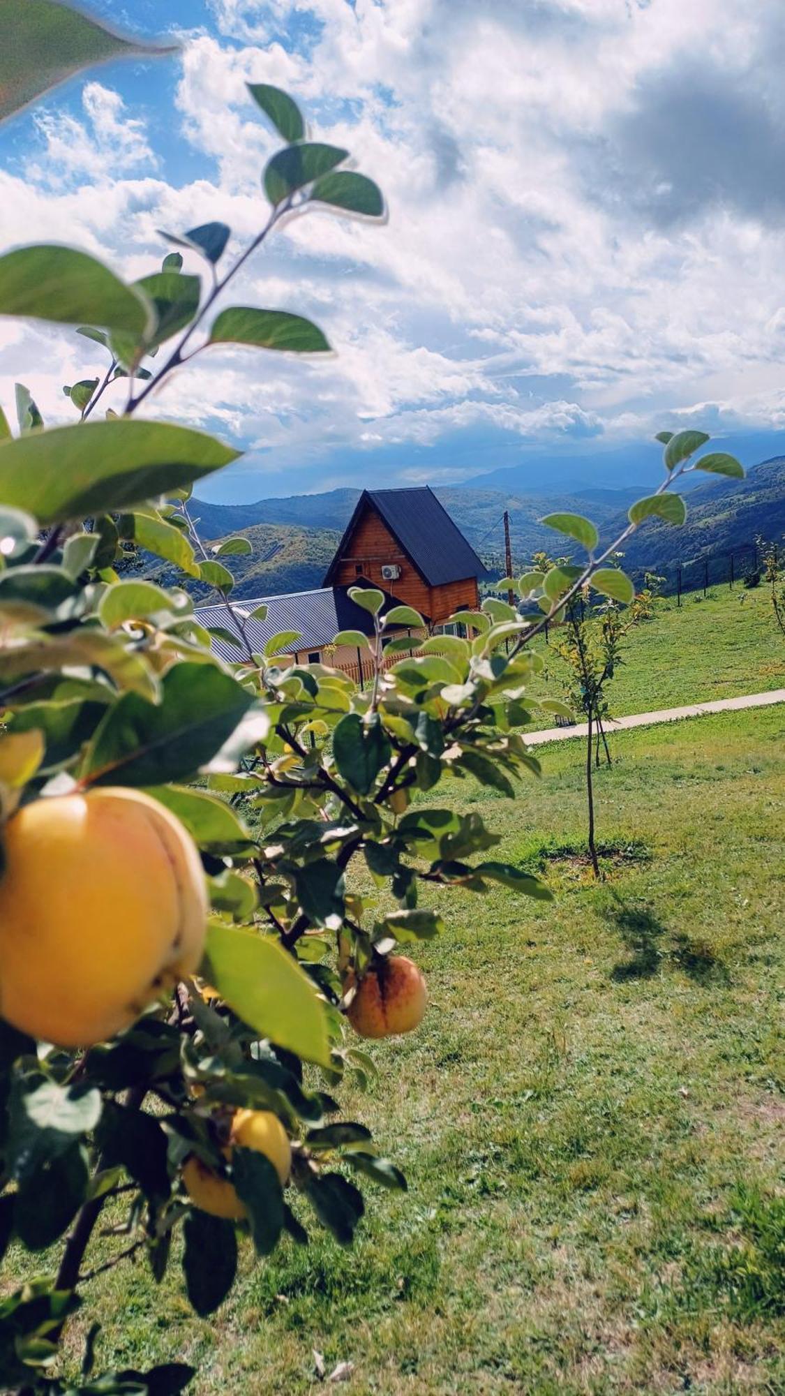 Mountain House Boskovic *